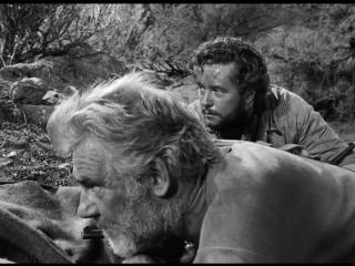 the treasure of the sierra madre (1948)